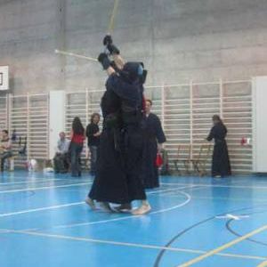 gallery__image